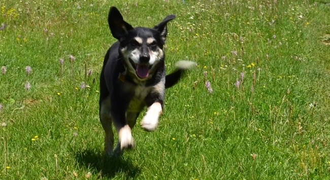lekker rennen in de franse Alpen