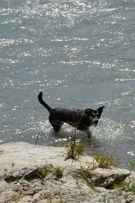 Jongens!! kom lekker zwemmen, heerlijk fris hier!