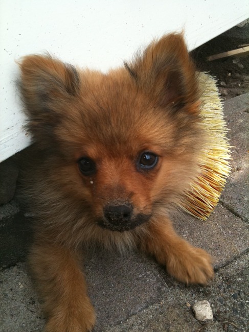 Gegraven? Nou ik weet van niks;)