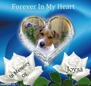 Mis je zo mijn meisje. :(