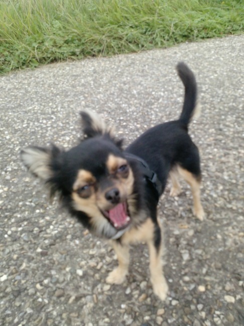 Onscherp maar wel schattig