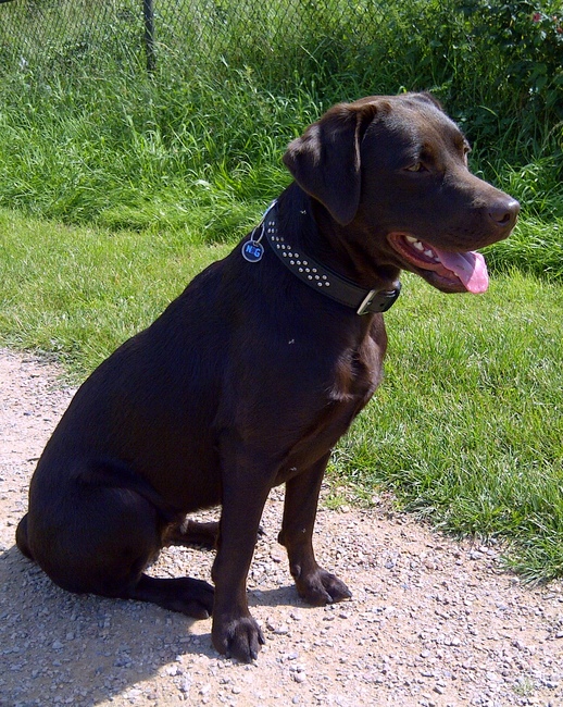 Zie mij eens lekker genieten..