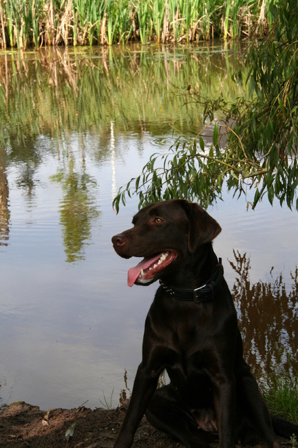 even genieten aan het water..