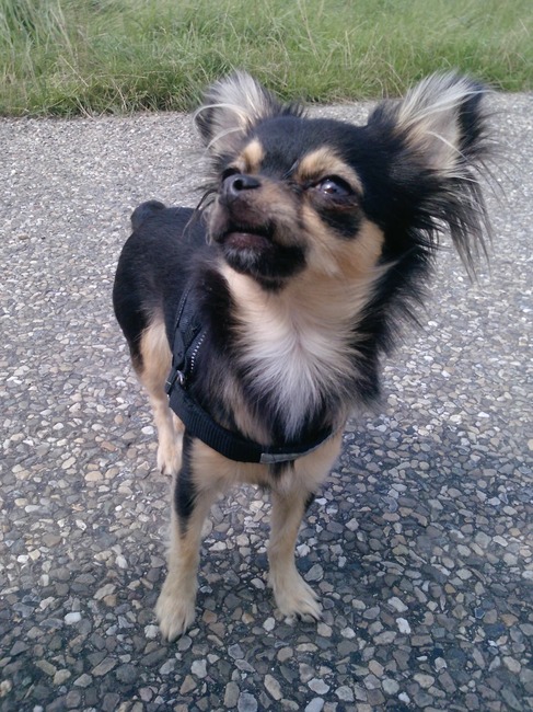 Jamie met een gek lipje