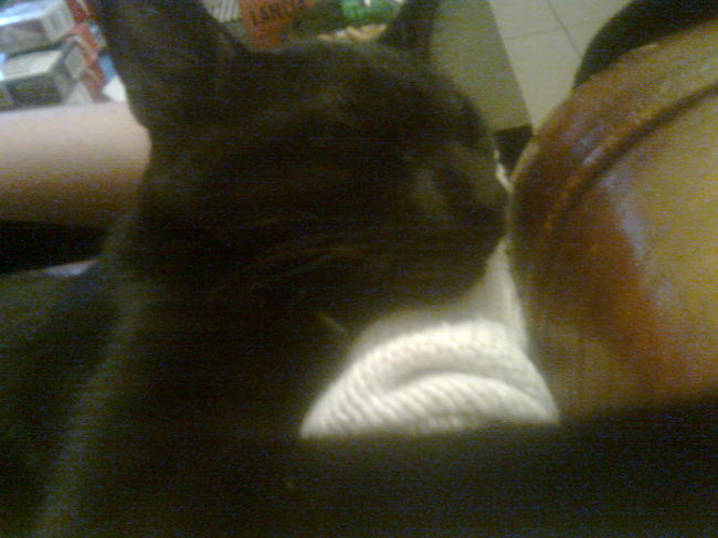 Jens slaapt graag in mijn armen.