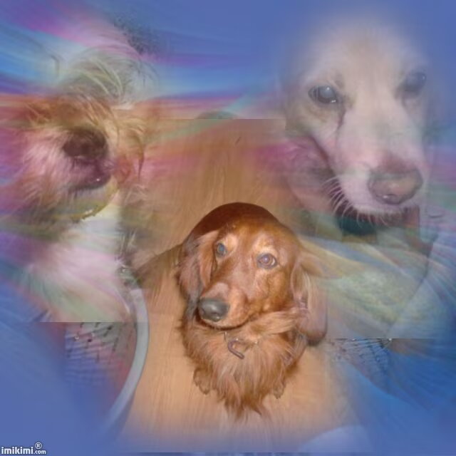 Foto van MaSpi///
