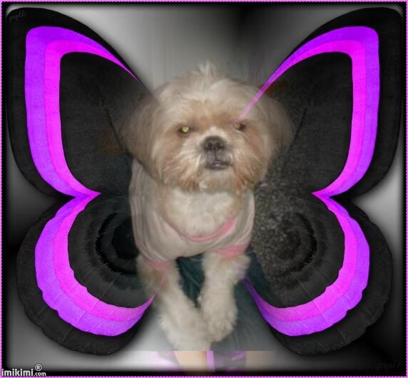 Foto van MaSpi///