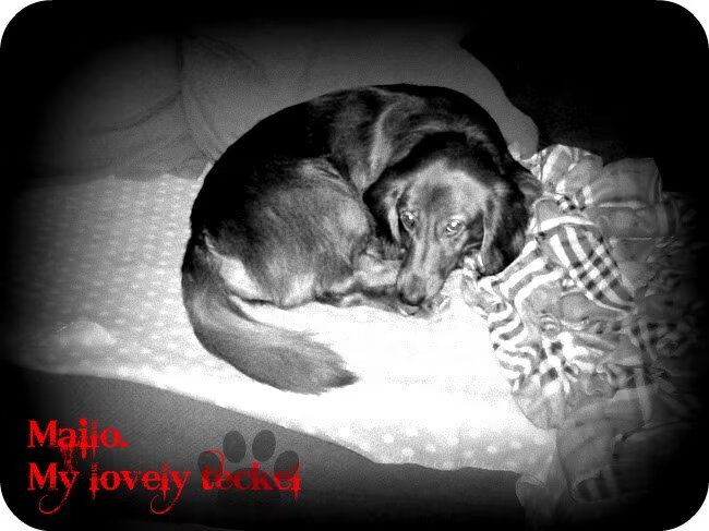 Foto van MaSpi///