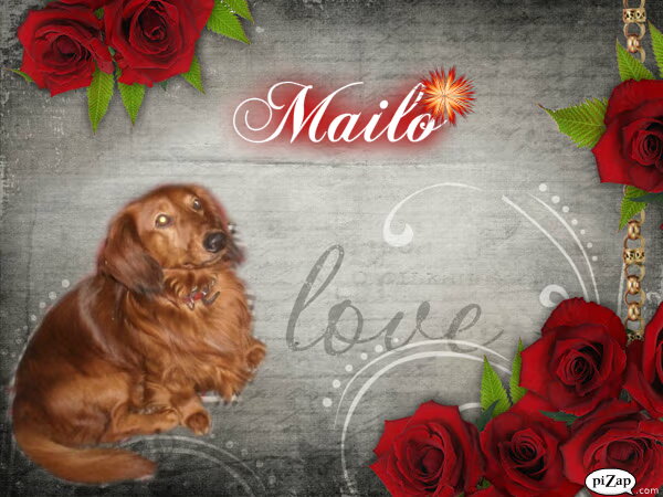 Foto van MaSpi///