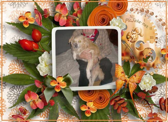 Foto van MaSpi///