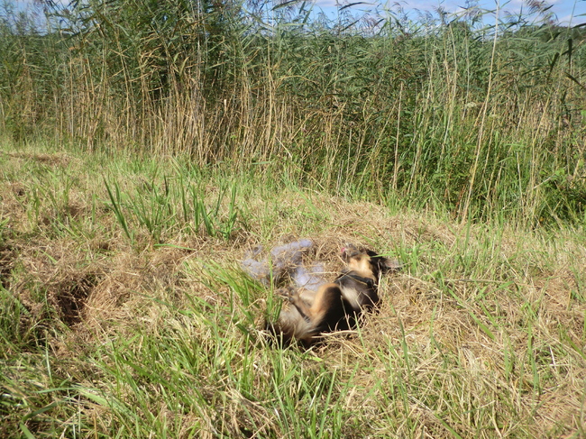 En toen stonk ze en moest ze in bad!