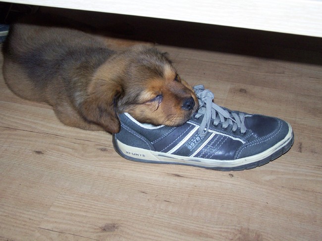 Die geur die doet 't....