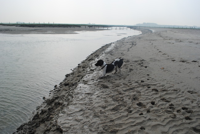 Het rijk voor mij alleen, zaaaalig.