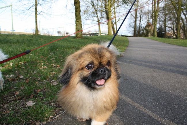 lekker aan de wandel