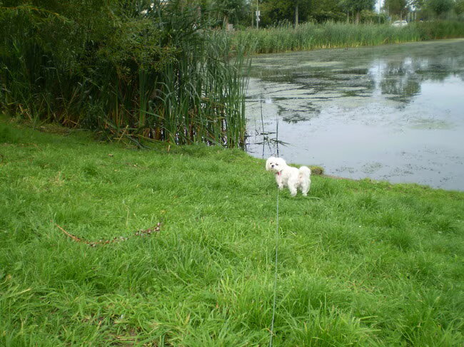 10-09-2011 Kom nou vrouwtje, schiet is een beetje op