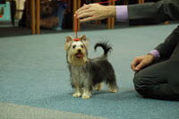 Did it Again.