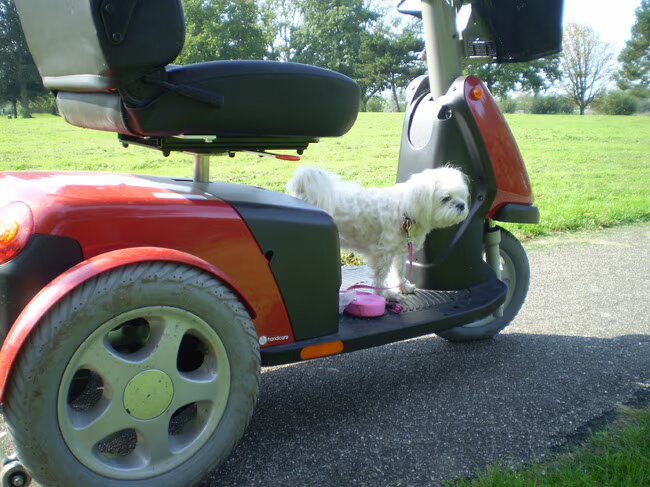 24-09-2011 CHICKA OP DE UITKIJK, OP DE SCOOTMOBIEL