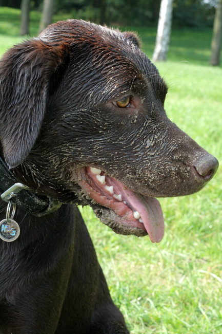 Zo te zien heb ik lekker gespeeld in het zand