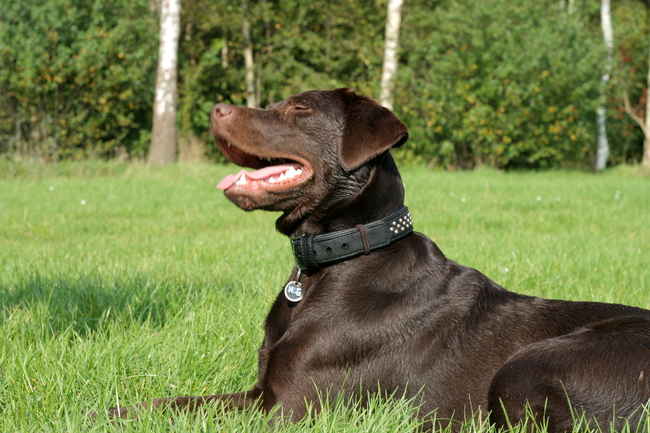 Lekker bijkomen in het zonnetje