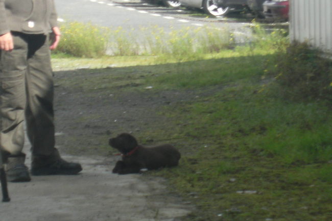 Maar zelfs buiten was ik te moe om te lopen, alé deed toch alsof ik dat was!!