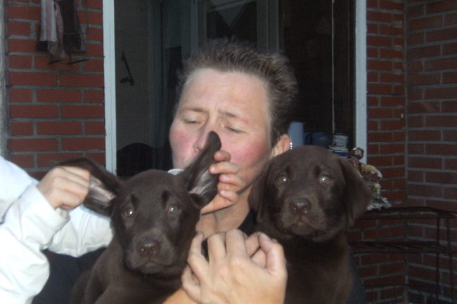 Mijn vriendinnetje Amber houdt mij voor de gek. Het is dat het baasje mij en zus vast hield, want anders... Was ik hard gaan rennen en kon ze achter mij an komen om te proberen om het nog eens te doen haha!!