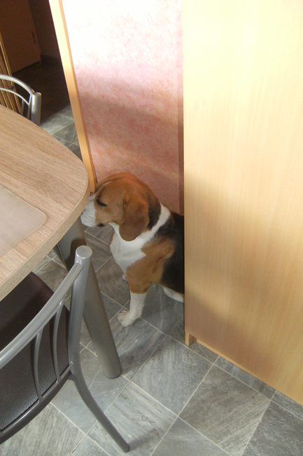 Weer denkt mijn broer dat hij veilig zit