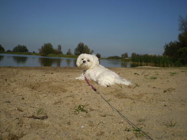 28-09-2011 PSSTTTT VROUWTJE KIJK IS HOE LEKKER IK LIG