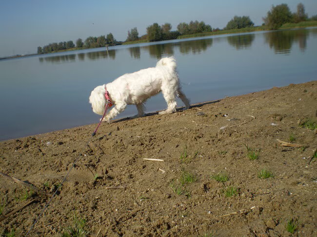 28-09-2011 CHICKA IS EEN STUKJE IN HET WATER GEWEEST, GOED DAT DE…