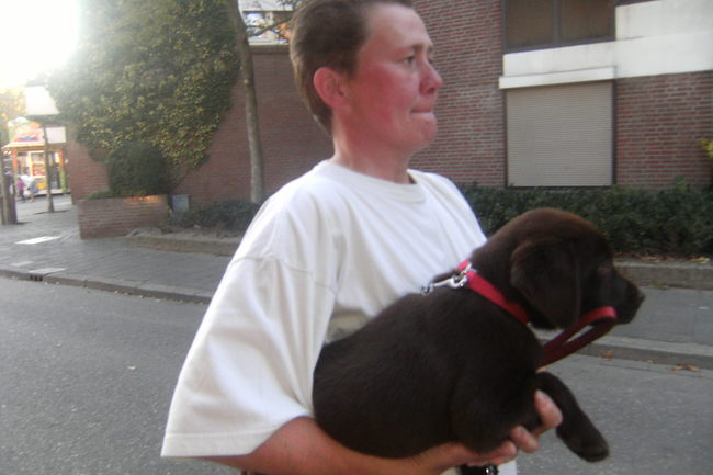 we zijn naar de kermis in weert, het is goed voor mij zegt het vrouwke, zo leer ik met drukte en mensen omgaan!! Nou, mij niet gelaten, ik vondt het geweldig en heb enorm genoten, zo veel lieve kleine en grote mensen die met mij wilde spelen.
Ik was wel echt heel moe op den duur en het baasje heeft mij regelmatig gedragen, ik mag nog niet zo heel veel lopen zeggen ze!!
Maar af en toe ging ik ook gewoon zitten als ik moe was of ging ik voor het baasje staan en moest ze mij pakken, was stik kapot en zo kon ik alles zonder mij moe te maken goed zien!!
Ben slimmer dan ik er uit zie, haha!!
