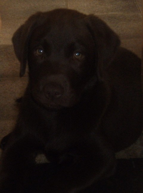 ben ik geen mooie donkere jongen, je ziet mij nog bijna niet!! Dat kan nog in mijn voordeel gaan werken, haha!!