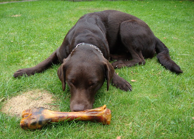 Ik tref het wel weer vandaag!