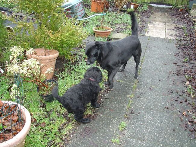 Yindy bijna 8 weken
Kisha 6,5 jaar