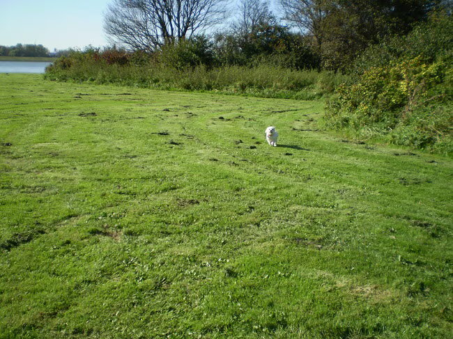 13-OKTOBER-2011 DE WITTE TORNADO KOMT AANRENNEN