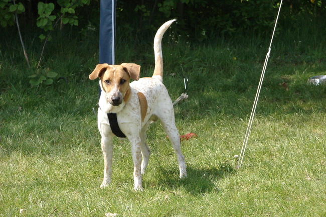 Bij de tent op vakantie.