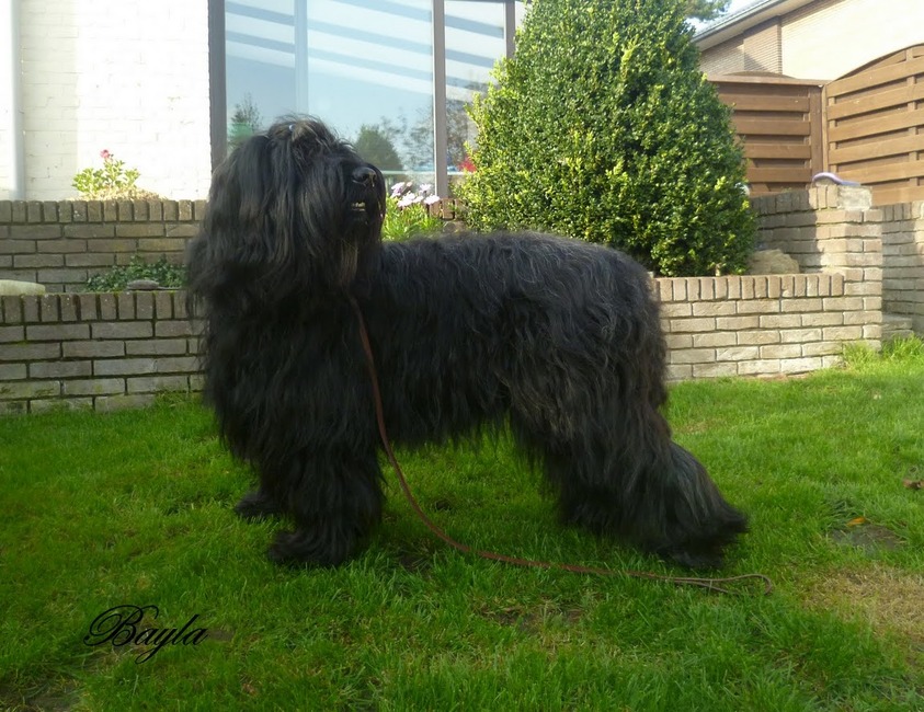 doe ik het goed zo :-)