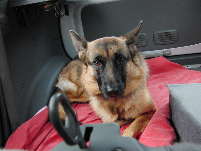 In de auto, op de terugweg van een verjaardag.