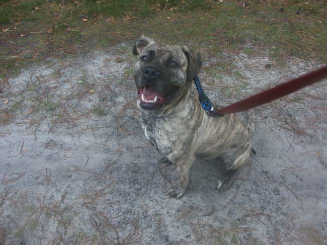 Even lachen naar de fotografe ;-)