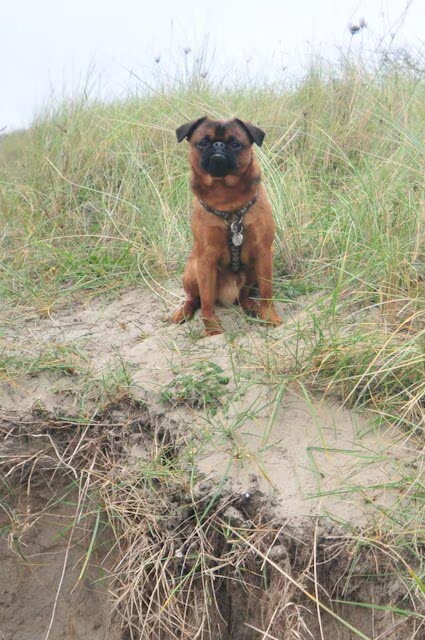 In de duinen