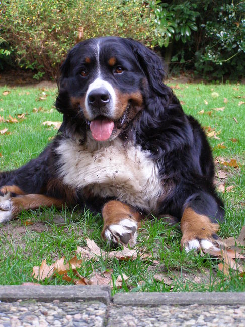 om op te vreten..toch ?