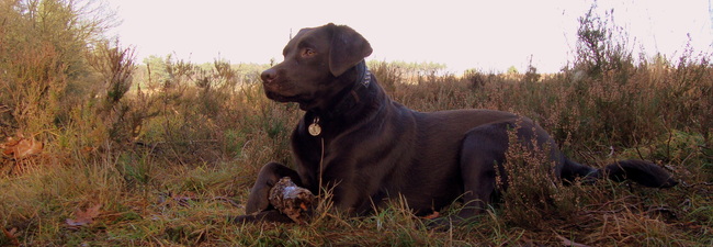 Natte Neuzen Route op Het Leesten