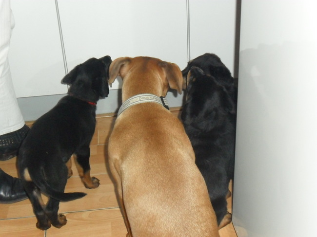 DINNER TIME !!! (Op visite bij Mama& Broertje& Zusjes )