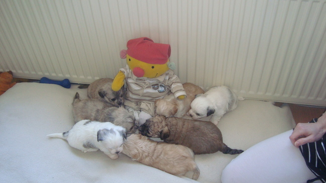 Sandy en der broertjes en zusjes