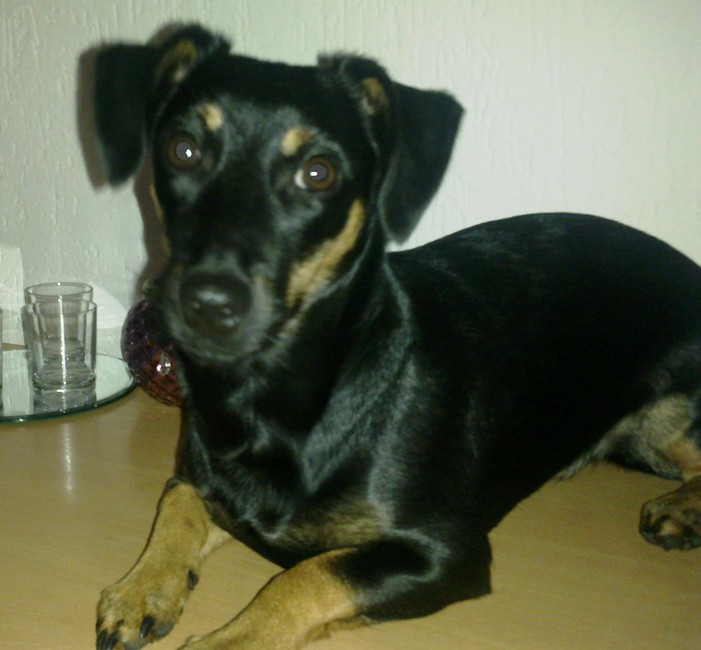 Alweer bijna 7 mnd. Lkkr ondeugend maar wel heel lief!!!
