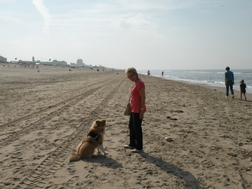 Lekker op het strand in Noorwijk aan Zee.