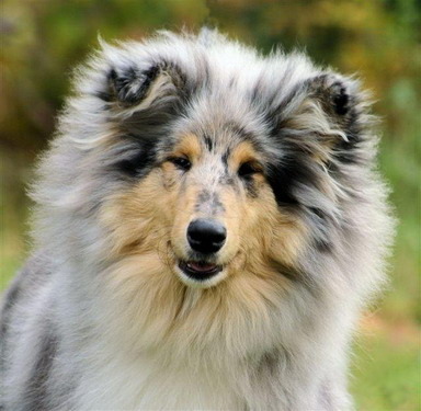 Ja wat moet ik hier aan toevoegen.