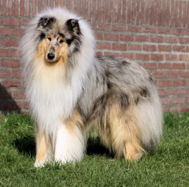 Even showen voor de foto.