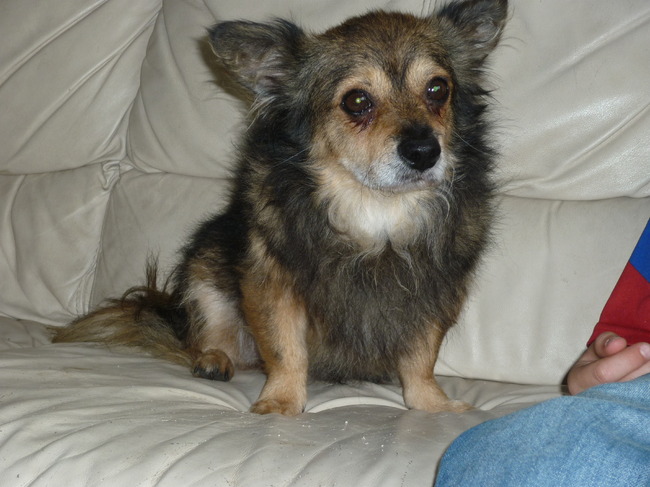 bubu mijn eerste opvangertje