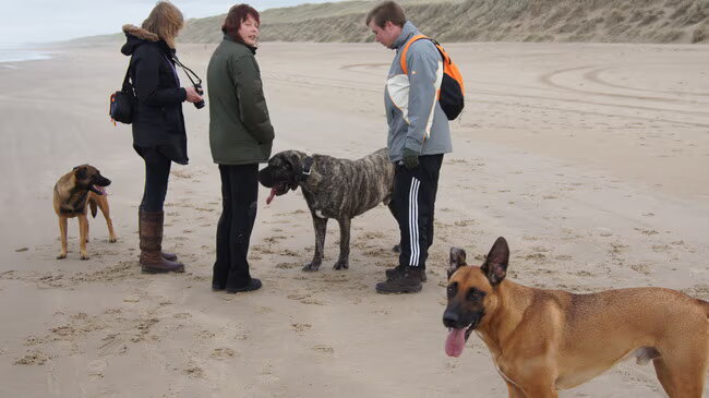 Foto van Vrouwtje van Denzel en Diva (R.I.P. Dixie)