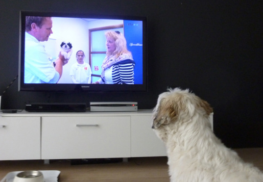 Tijd voor een vriendje?