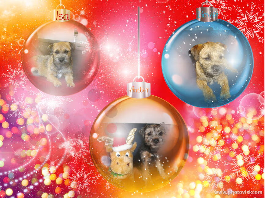 Foto van MaSpi///